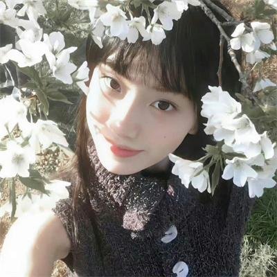 姊妹坡国语